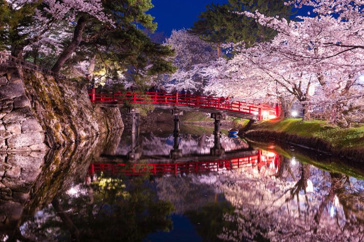 🏞️ 오쿠시 조개무덤 만남 공원(오쿠시카이즈카 후레아이 코엔) 이미지 5